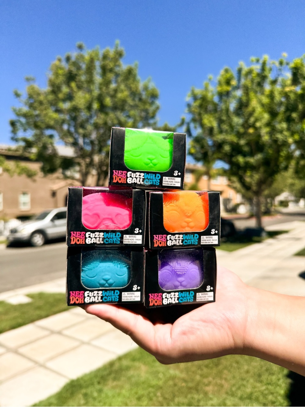 Needoh Fuzz Wild Cats Set 🌈🐱